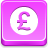 Pound Coin Icon 48x48 png